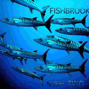 FISHBROOK – LIVE SESSION | ATELIER DREIZEHN